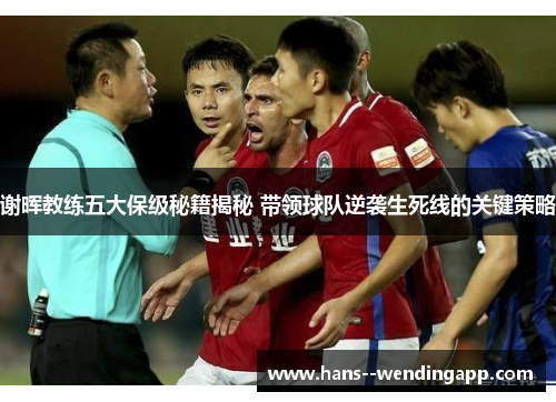 谢晖教练五大保级秘籍揭秘 带领球队逆袭生死线的关键策略