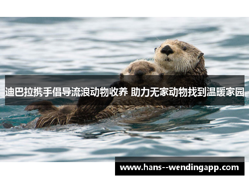 迪巴拉携手倡导流浪动物收养 助力无家动物找到温暖家园