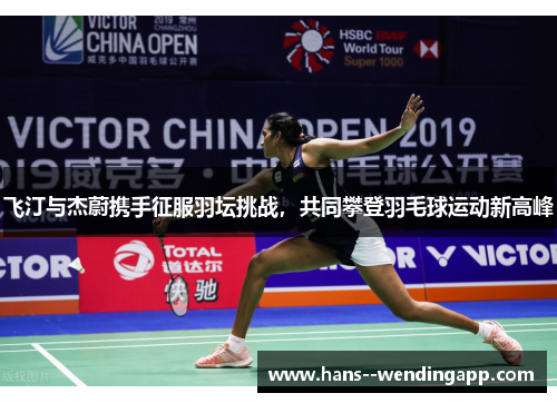 飞汀与杰蔚携手征服羽坛挑战，共同攀登羽毛球运动新高峰
