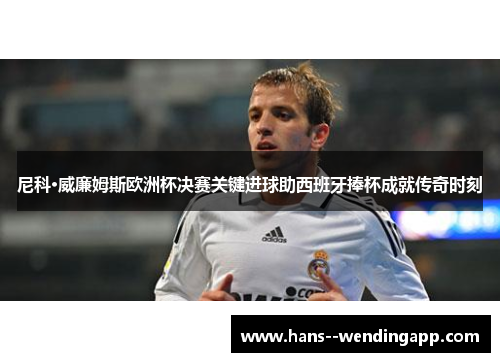 尼科·威廉姆斯欧洲杯决赛关键进球助西班牙捧杯成就传奇时刻