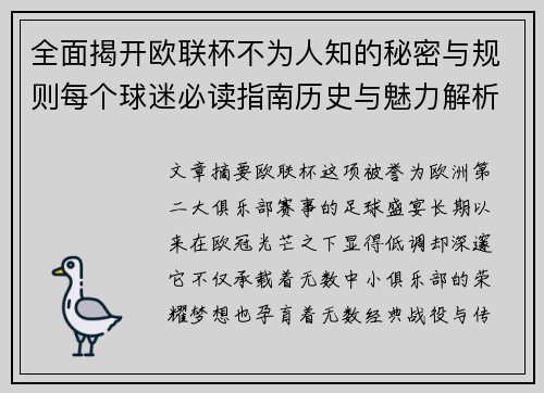 全面揭开欧联杯不为人知的秘密与规则每个球迷必读指南历史与魅力解析