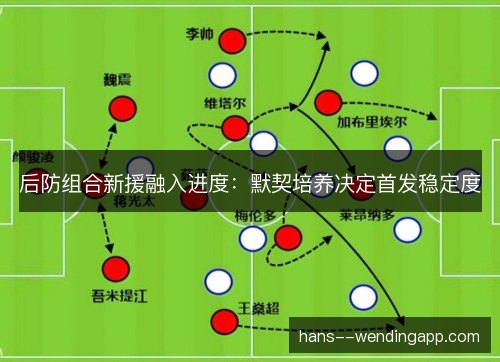 后防组合新援融入进度：默契培养决定首发稳定度